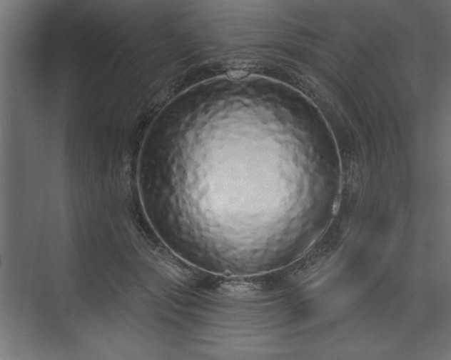 X0000073830557200608170944