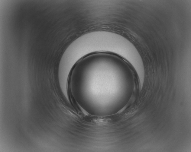 X0000073830558200608170944