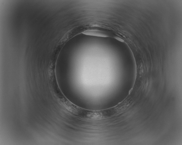 X0000073830559200608170944