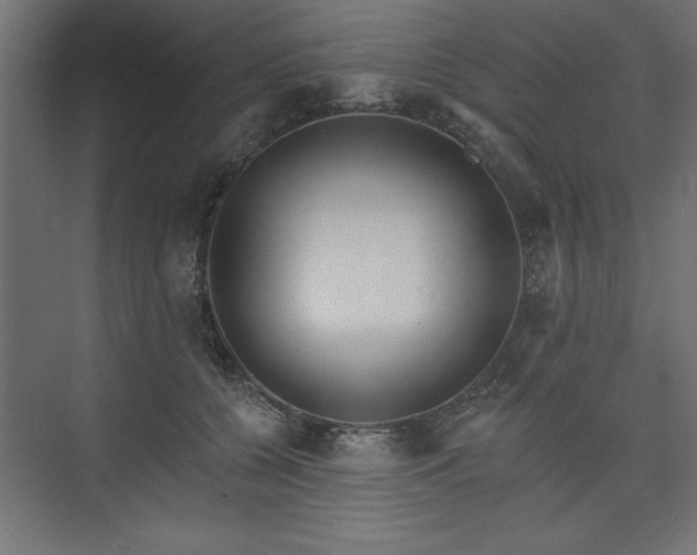 X0000073830560200608170944