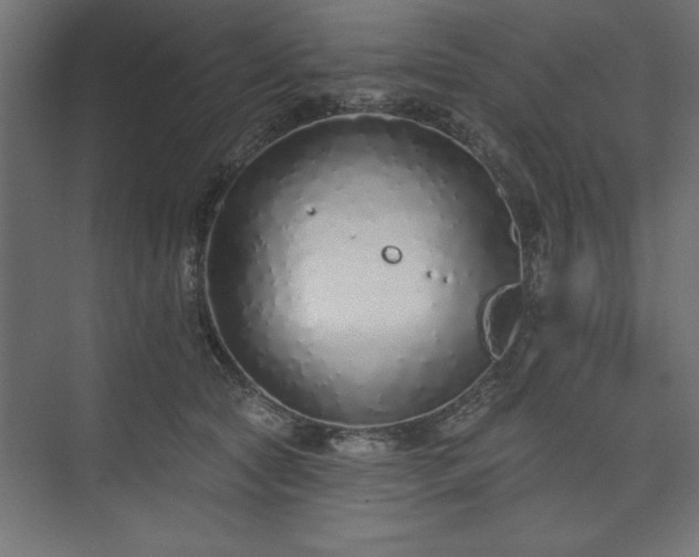 X0000073830561200608170944