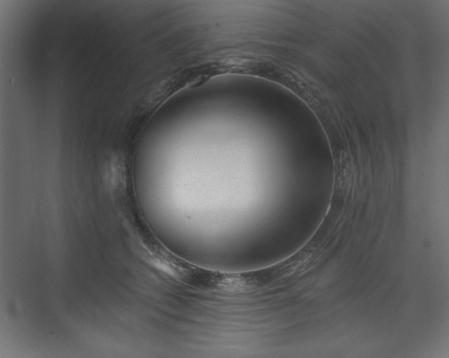 X0000073830562200608170944