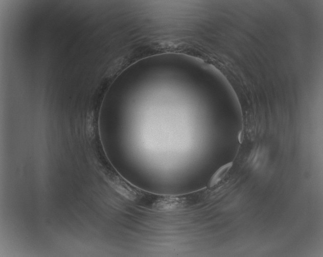 X0000073830563200608170944