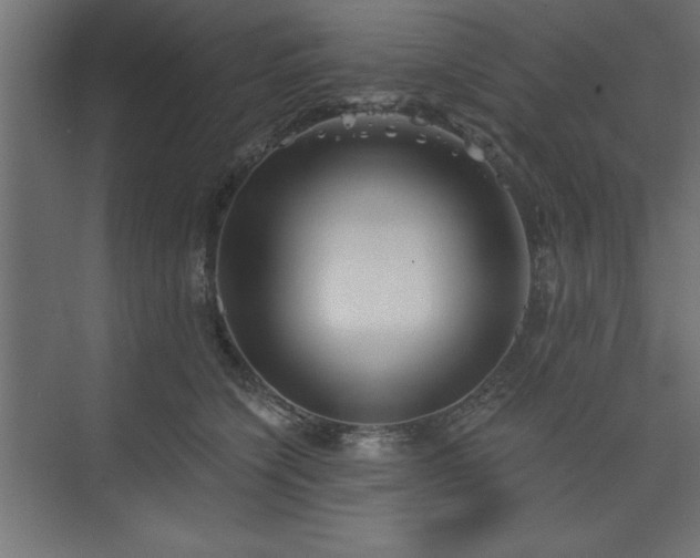 X0000073830564200608170944