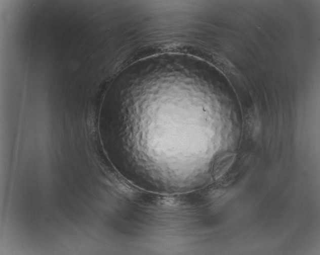 X0000073830565200608170944