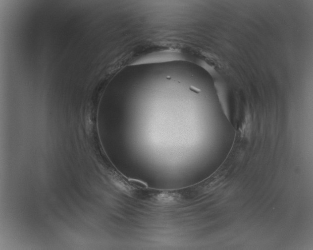 X0000073830566200608170944