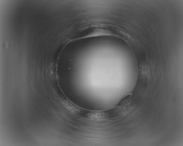 X0000073830567200608170944