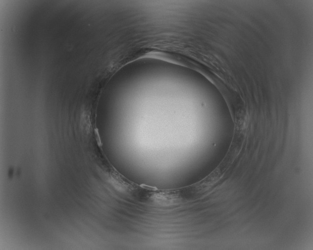 X0000073830568200608170944