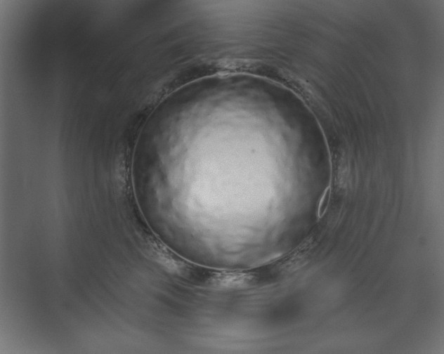 X0000073830569200608170944