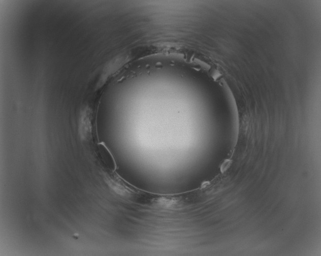 X0000073830570200608170944