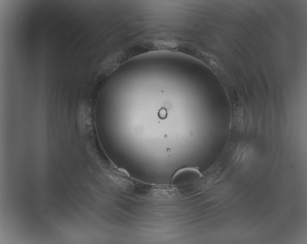 X0000073830571200608170944