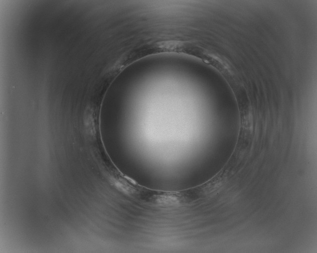 X0000073830572200608170944