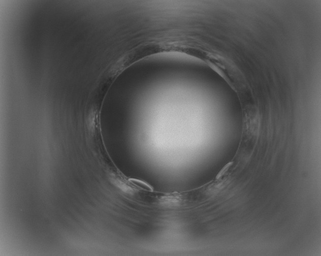 X0000073830574200608170944