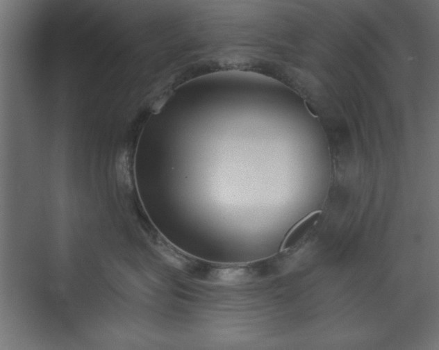 X0000073830575200608170944