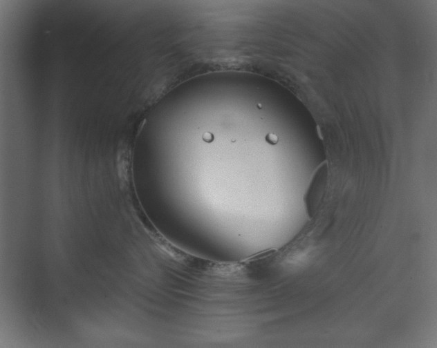 X0000073830576200608170944