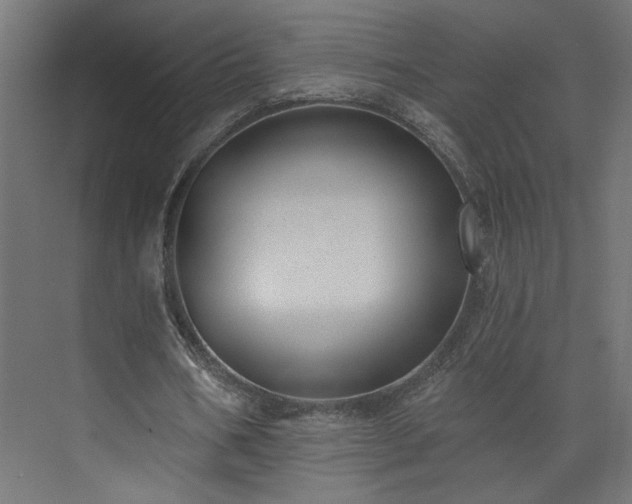 X0000073830578200608170943