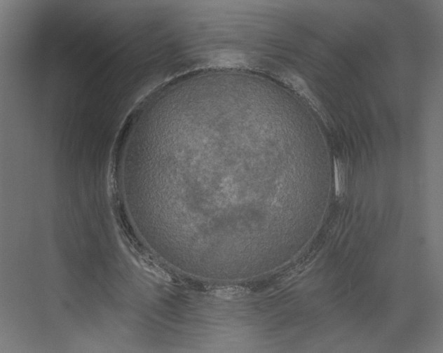 X0000073830579200608170943