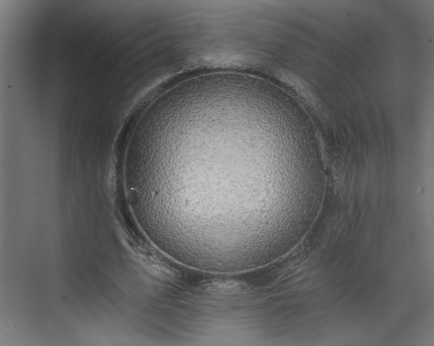 X0000073830583200608170943