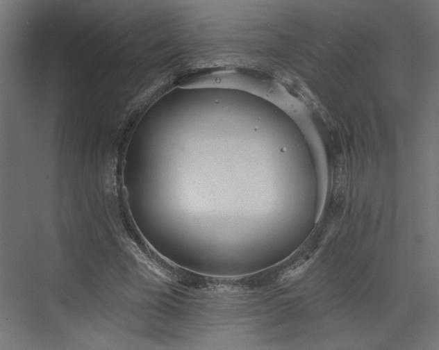 X0000073830585200608170943