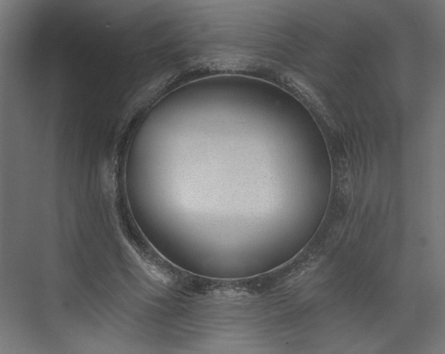 X0000073830586200608170943