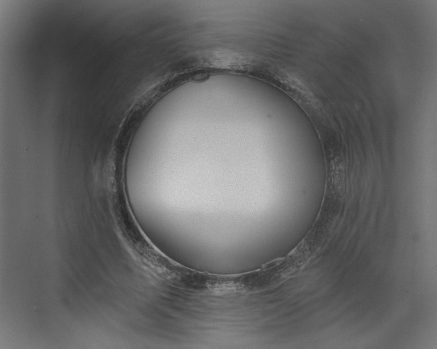 X0000073830587200608170943