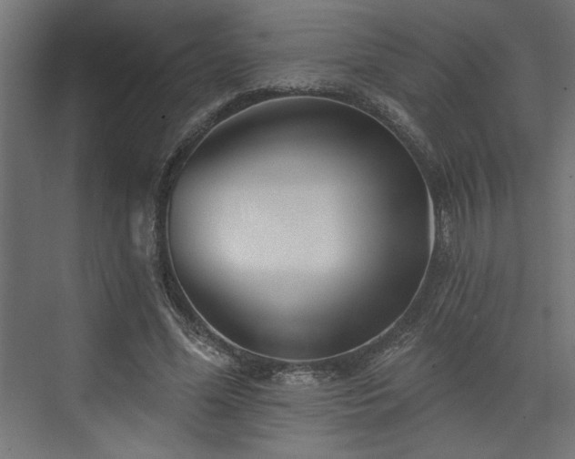 X0000073830588200608170943