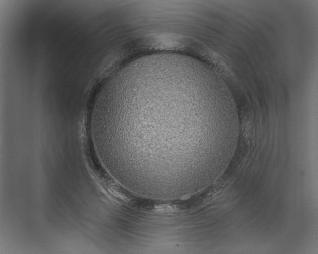 X0000073830591200608170943