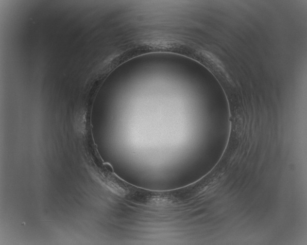 X0000073830596200608170943