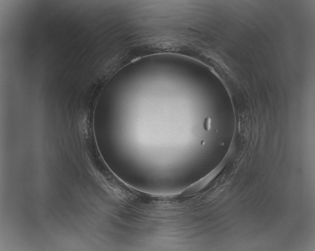 X0000073830597200608170943