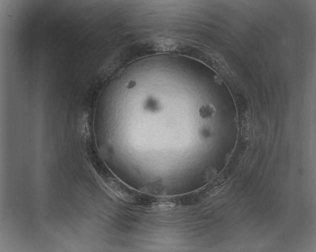 X0000073830598200608170943