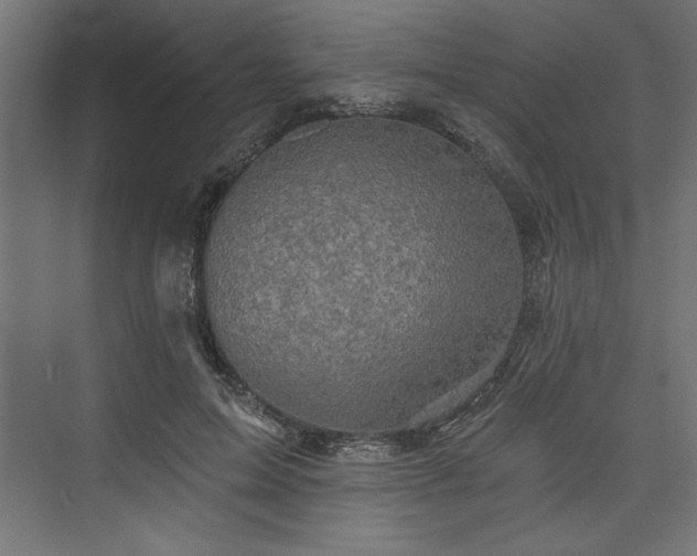 X0000073830599200608170943