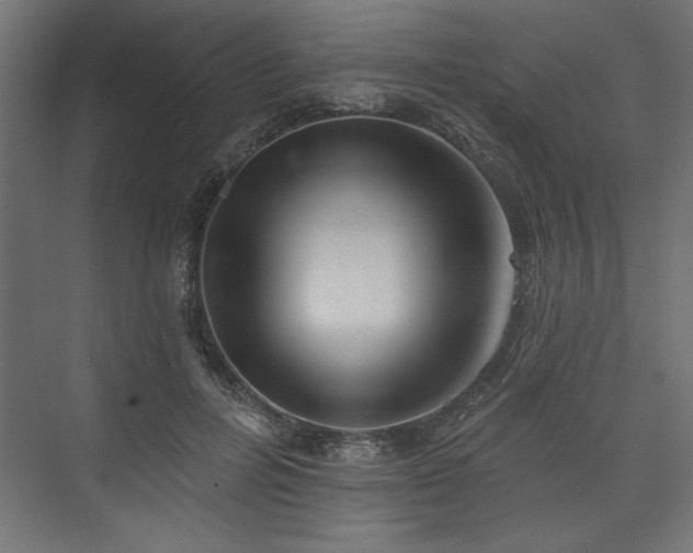 X0000073830600200608170943