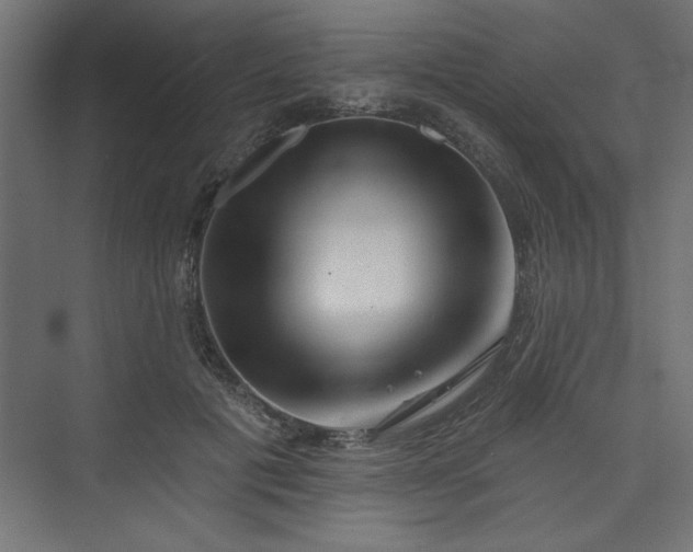 X0000073830601200608170943