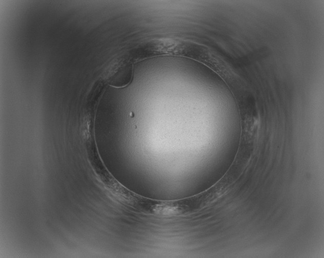 X0000073830602200608170943