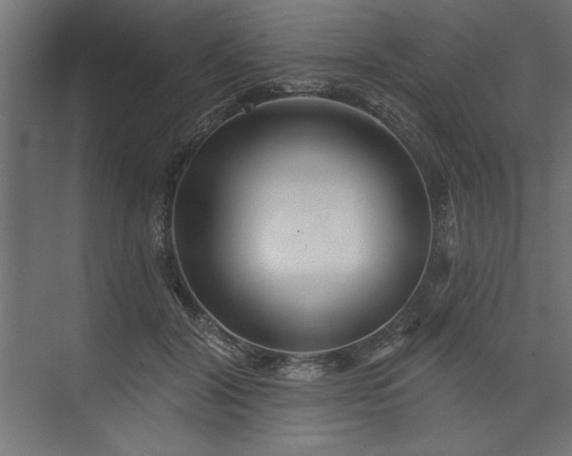 X0000073830604200608170943