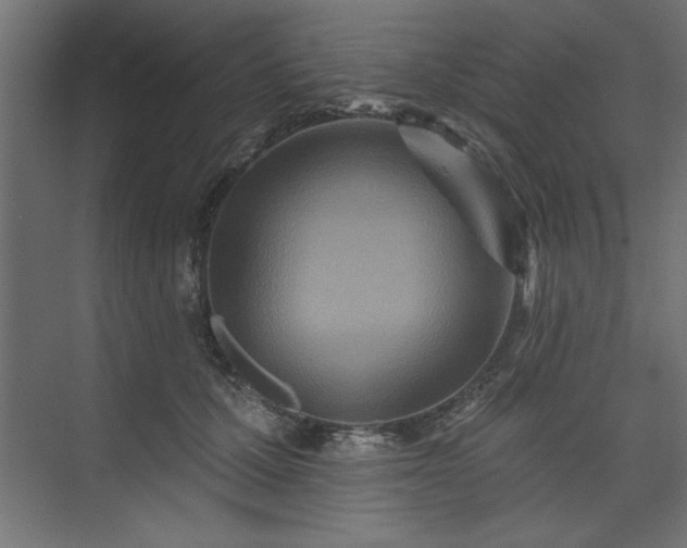 X0000073830607200608170943