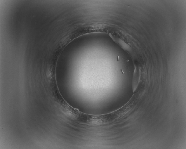 X0000073830608200608170943