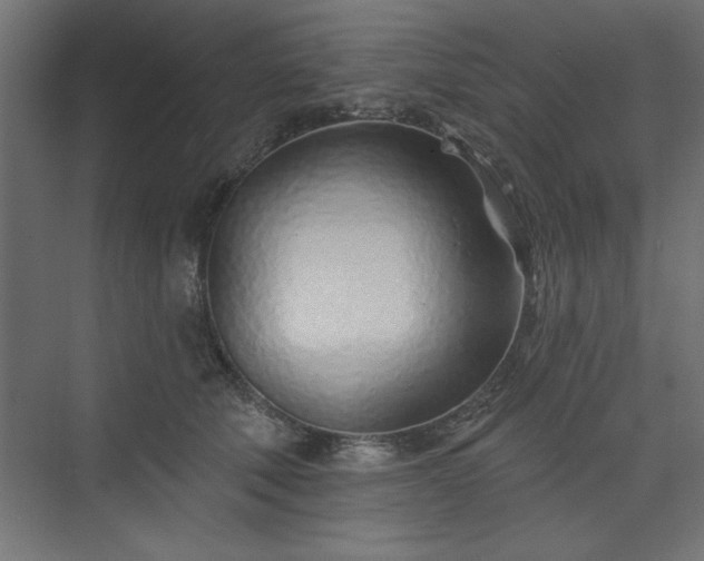 X0000073830610200608170943