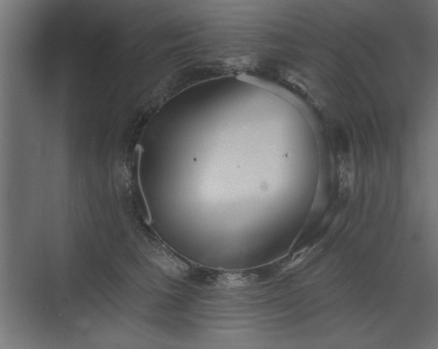 X0000073830613200608170943