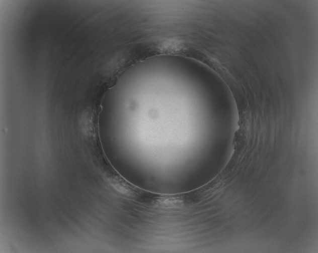 X0000073830619200608170942