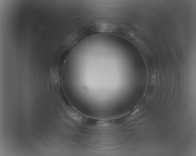 X0000073830620200608170942