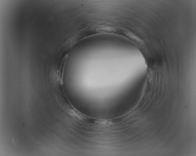 X0000073830621200608170942