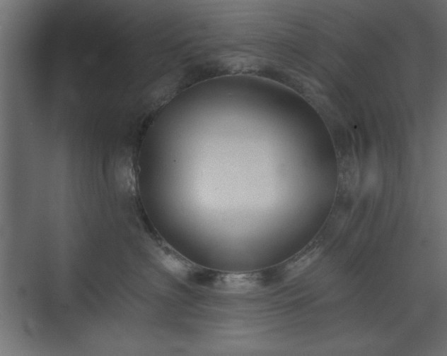 X0000073830622200608170942