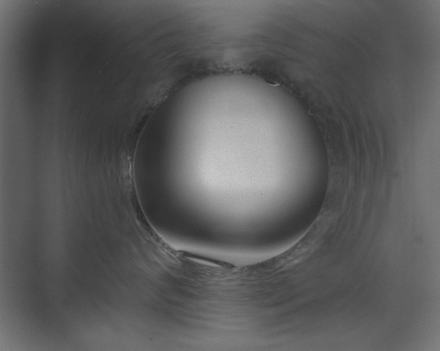 X0000073830624200608170942