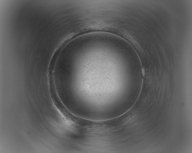 X0000073830626200608170942