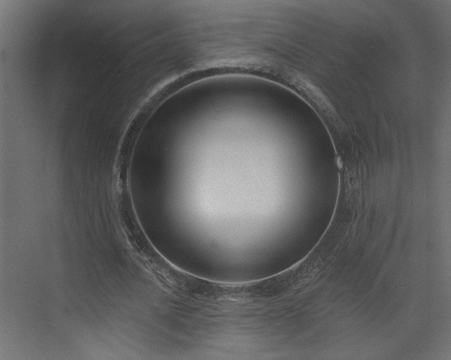 X0000073830628200608170942