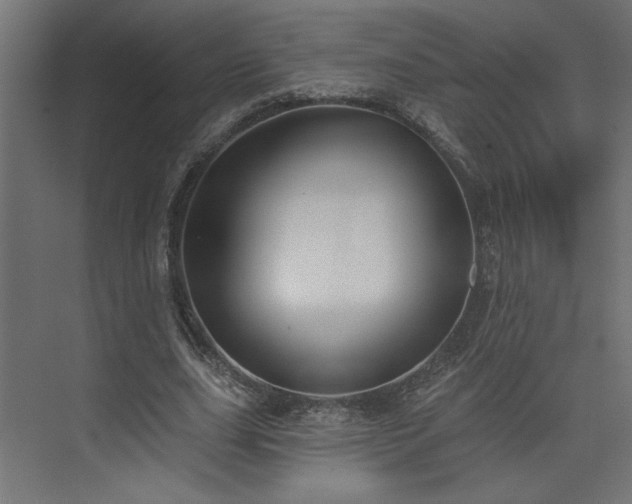 X0000073830631200608170942