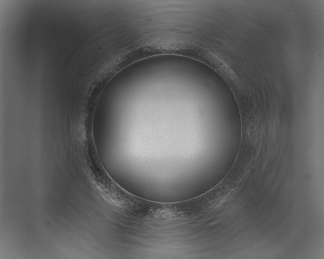 X0000073830635200608170942