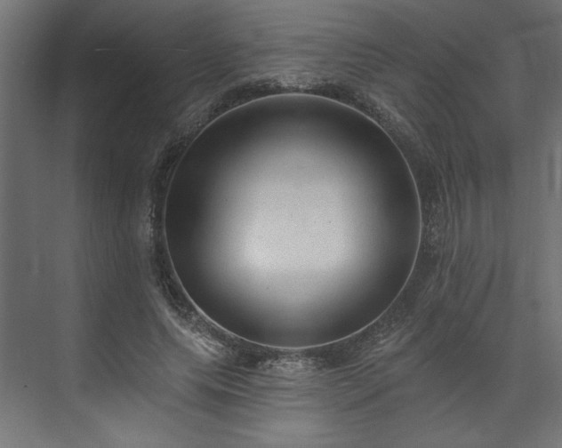 X0000073830639200608170942