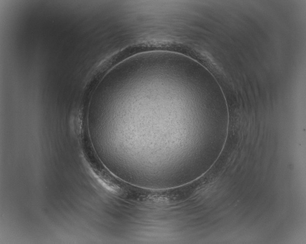 X0000073830640200608170942